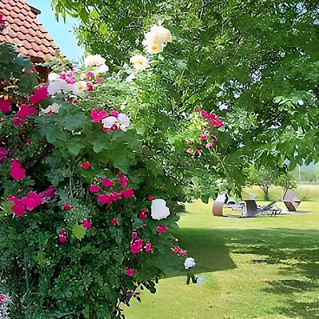 Pensiunea Ohana Отель 4*