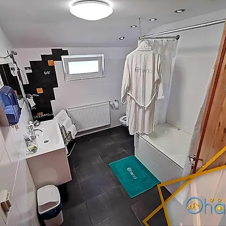 Pensiunea Ohana Отель 4*